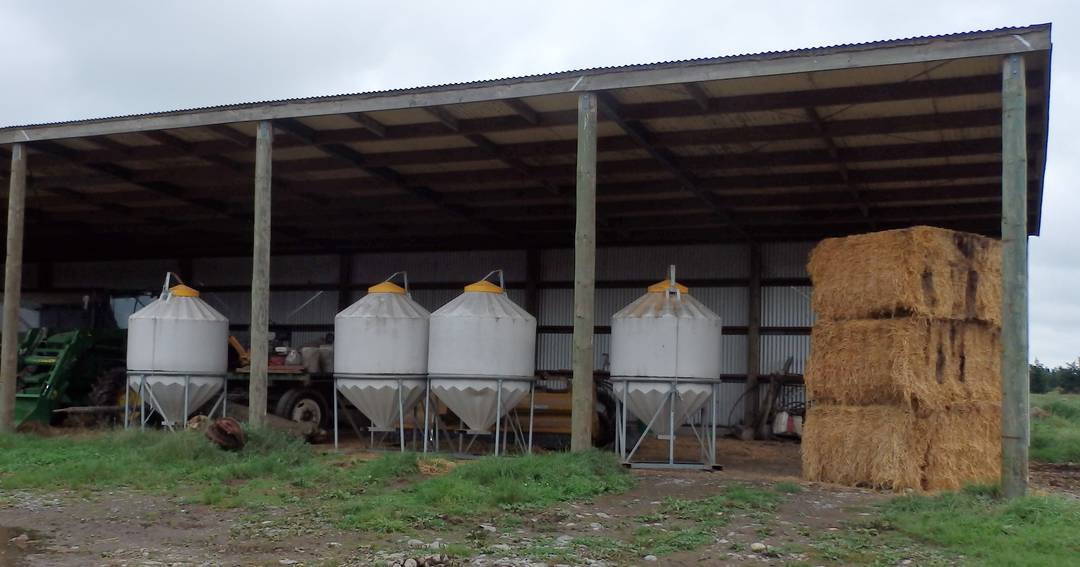 Smart Silo SS 1.6 (1.2t) - Standard Silo image 0